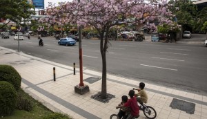 Grill pohon Pedestrian Tanjung Perak